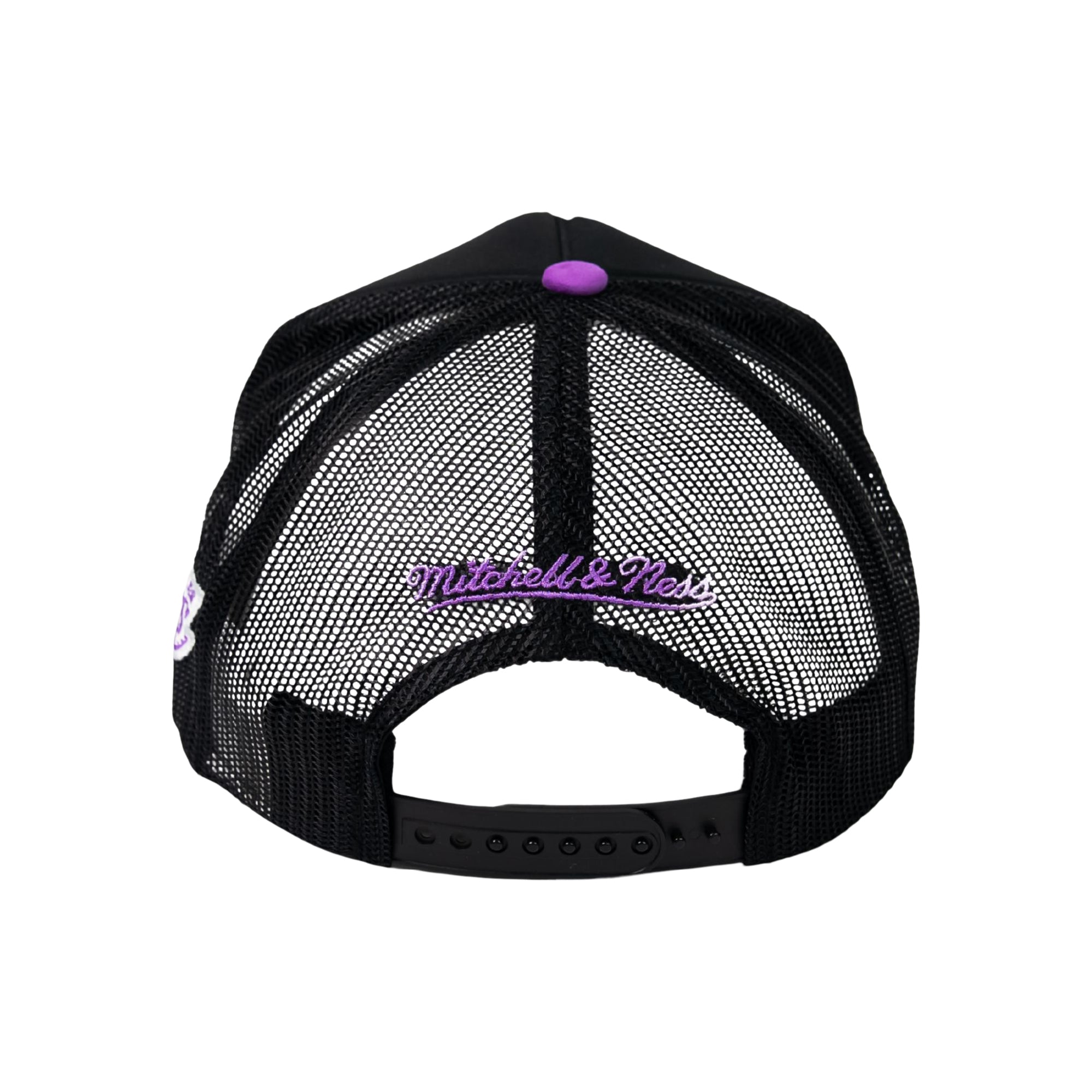 BUCKS SNAPBACK HAT | LRG Clothing
