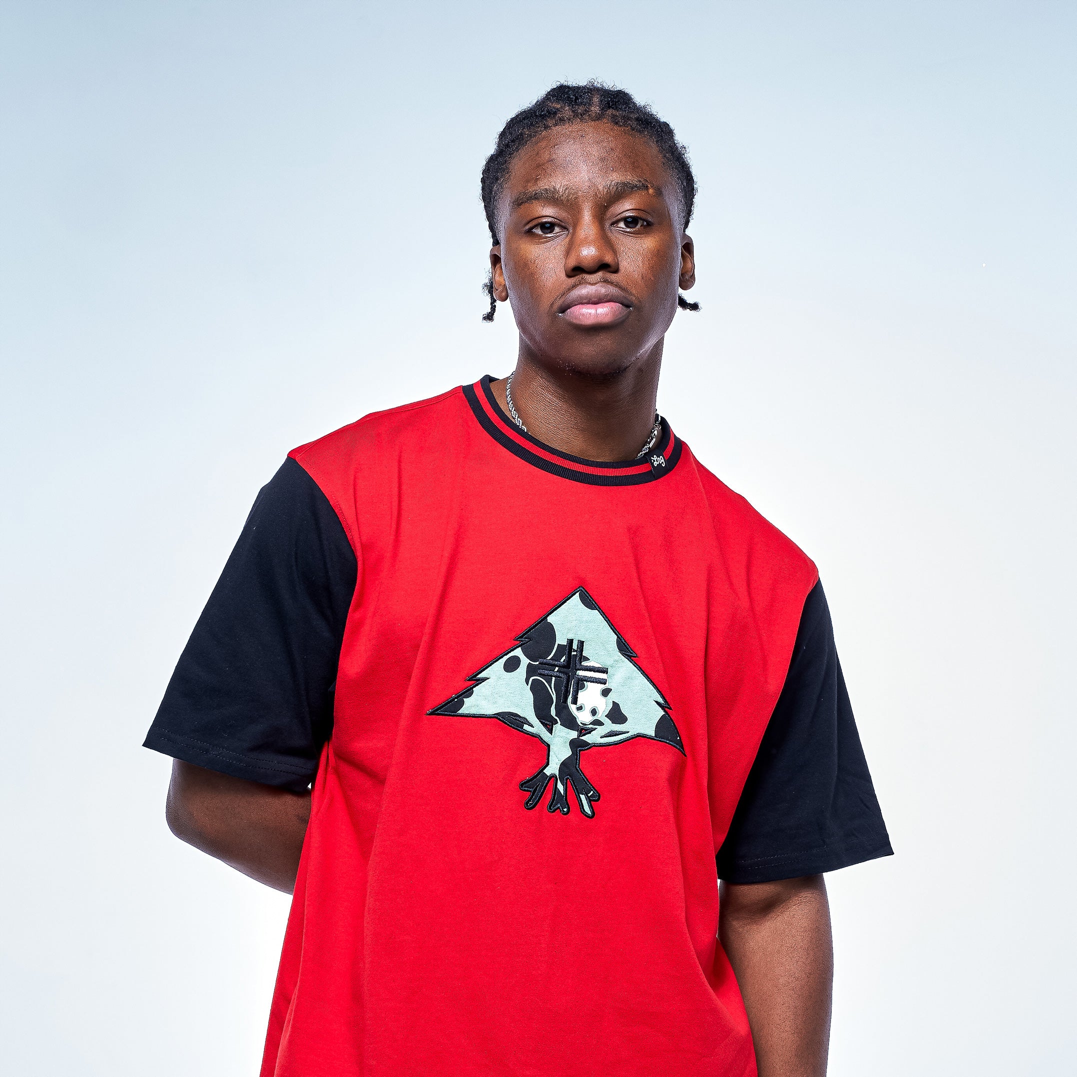 TREE PANDA LEGACY SS KNIT Red | LRG Clothing