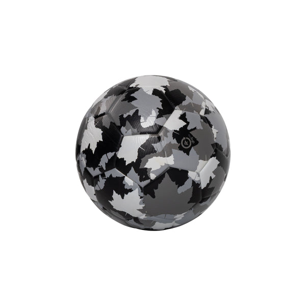 Camouflage-patterned ball on a white background