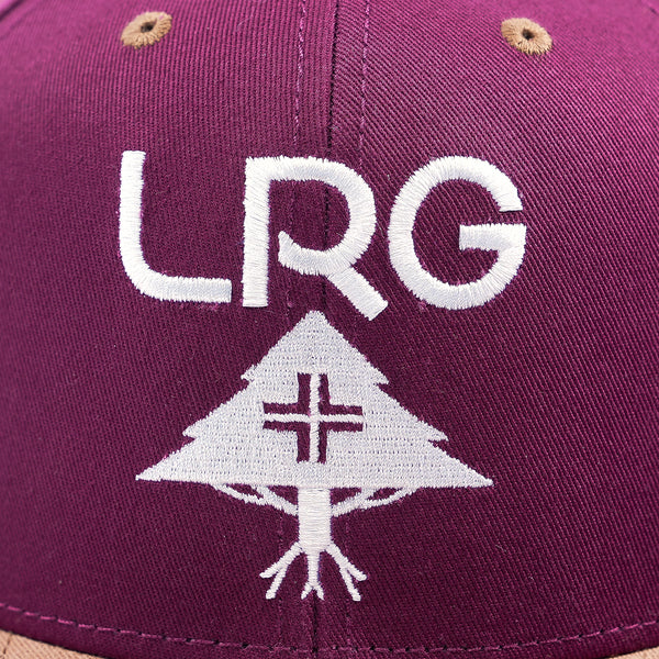 INSIGHTS SNAPBACK - Burgundy