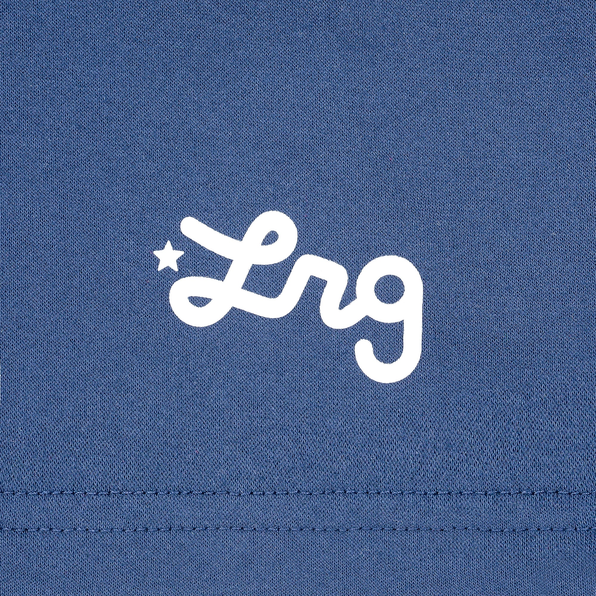 LIFTED SCRIPT SHORT Navy | LRG Clothing