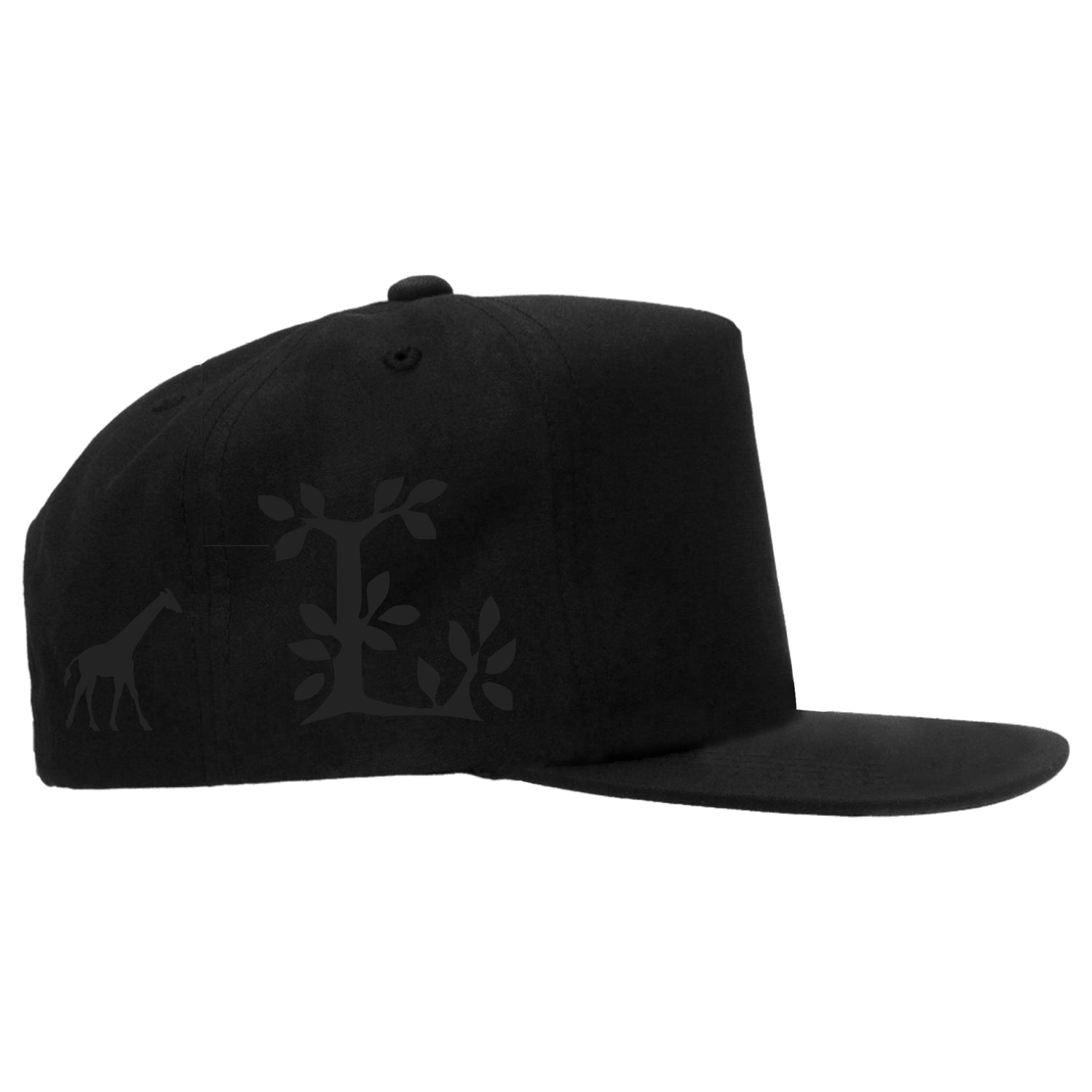 Lrg snapback hats online