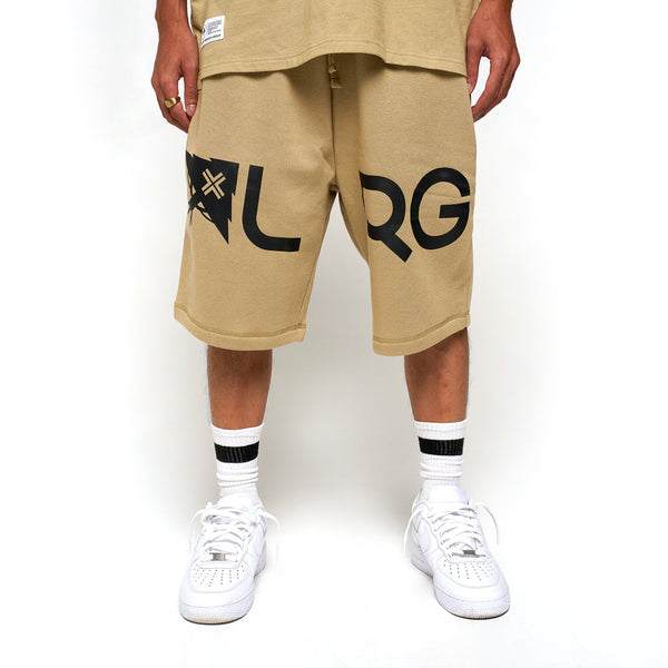 LRG EFFECTIVE FLEECE SHORTS - TWILL