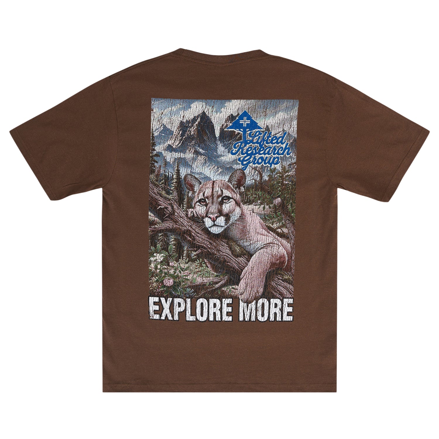 MOUNTAIN KING SS TEE - COFFEE