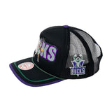 BUCKS SNAPBACK HAT