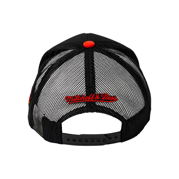HAWKS SNAPBACK HAT