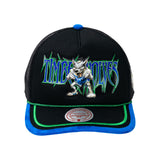 TIMBERWOLVES SNAPBACK HAT
