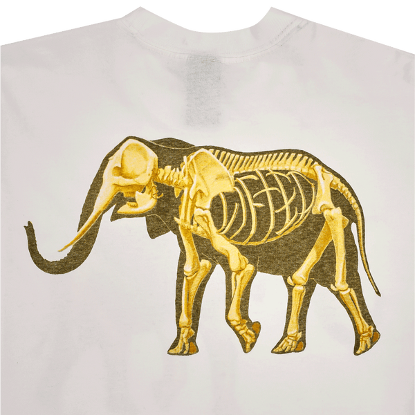 FOSSIL TEE - WHITE