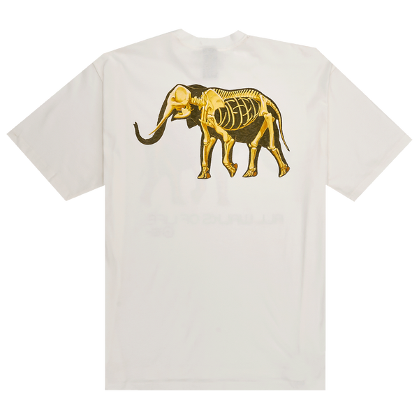 FOSSIL TEE - WHITE