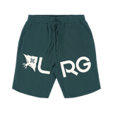 LRG EFFECTIVE FLEECE SH SP25 - Darkspruce