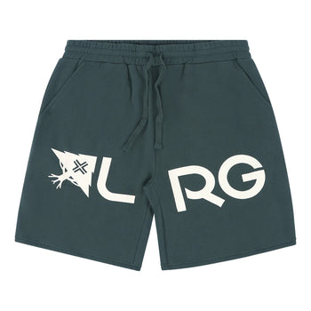 LRG EFFECTIVE FLEECE SH SP25 - Darkspruce