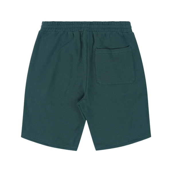 LRG EFFECTIVE FLEECE SH SP25 - Darkspruce