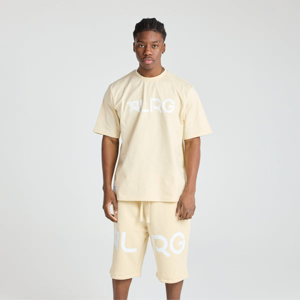 LRG EFFECTIVE SHORTS - WOOD ASH